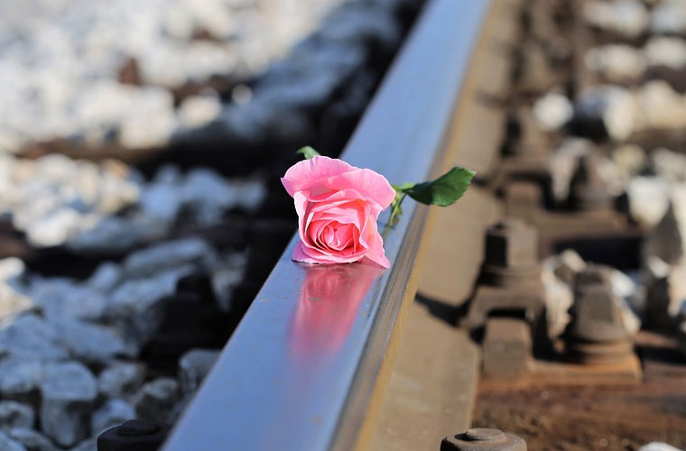 健身健美專業(yè)