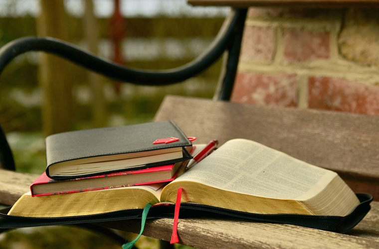 永城市中等專業(yè)學(xué)校2024招生簡章