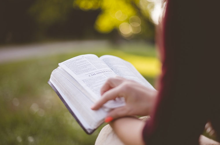 2025年四川德陽市單招培訓(xùn)班有哪些 2025年四川德陽市單招培訓(xùn)班有哪些