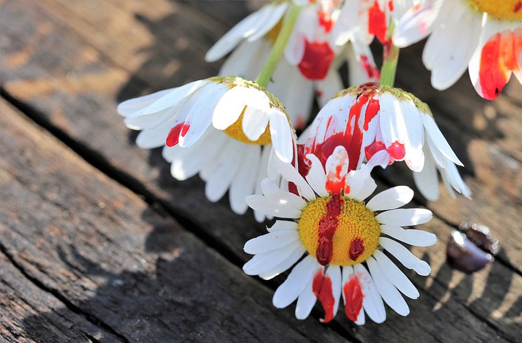 浙江中醫(yī)藥大學(xué)本科助學(xué)班在哪讀2025