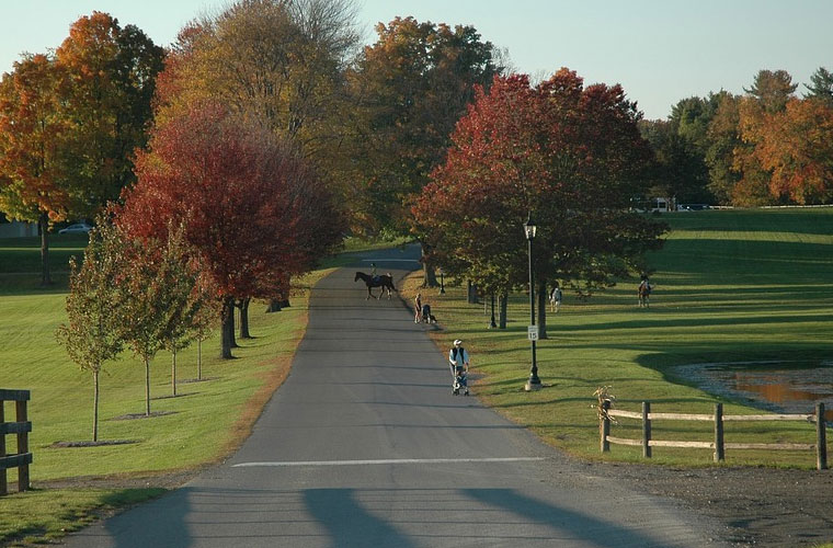 四川理工技師學(xué)院 四川理工技師學(xué)院