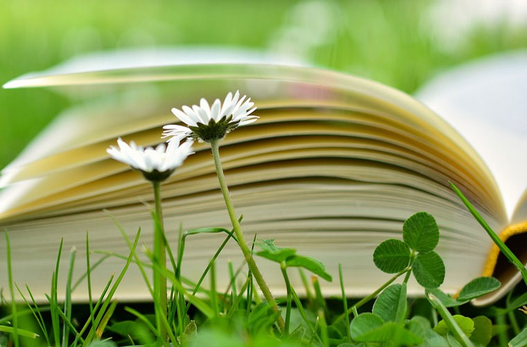 騰沖縣第二職業(yè)技術(shù)中學(xué)學(xué)費(fèi)