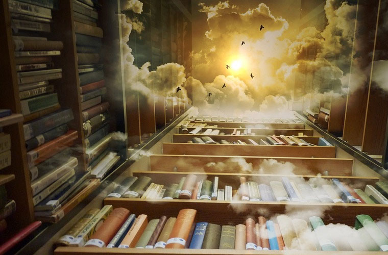 云南機電職業(yè)技術學院2023年單獨考試招生方案