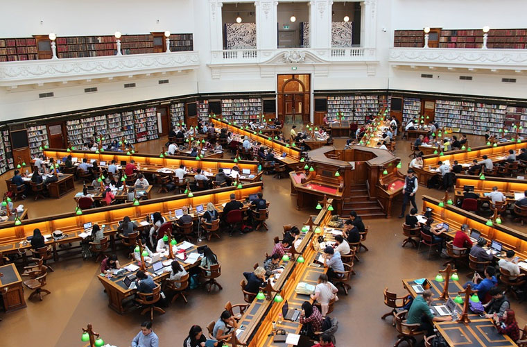 北京市海淀外國語藤飛學校電話2025 北京市海淀外國語藤飛學校電話2025