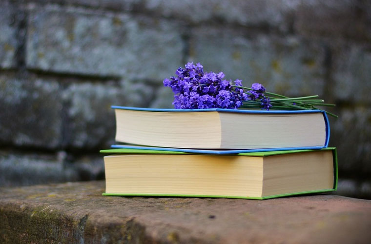 鎮(zhèn)雄縣職業(yè)高級中學(xué)招生簡章