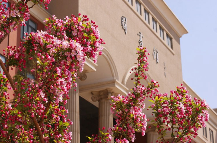 長江師范學(xué)院單招2023年春季招生章程 長江師范學(xué)院單招2023年春季招生章程