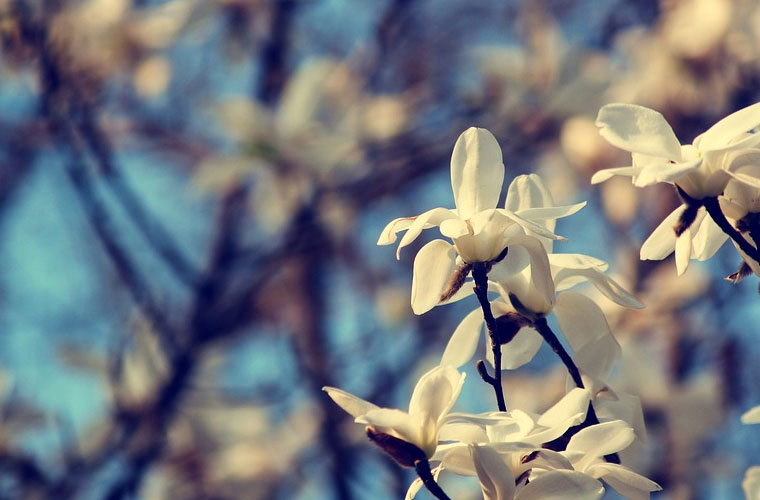 昆明農(nóng)業(yè)學校學費