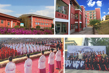 1587286737466894.jpg 29.jpg