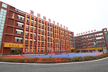 1614323261679127.jpg 40.jpg