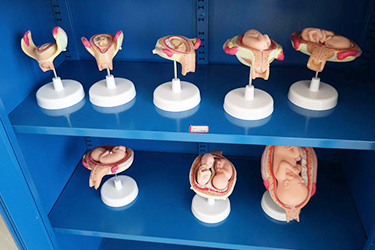 1614842205609631.jpg 7.jpg