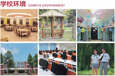 1615621484604639.jpg 8.jpg