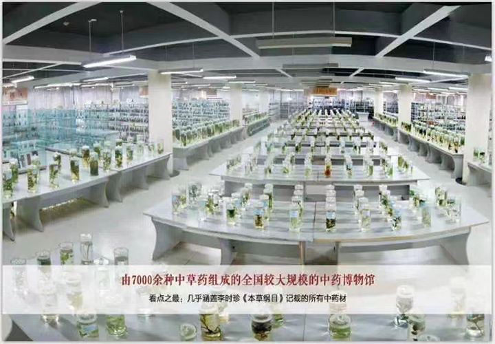 1659171740830252.jpg 10.jpg