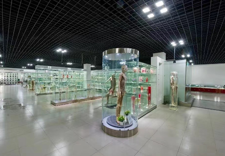 1659172316485365.jpg 19.jpg