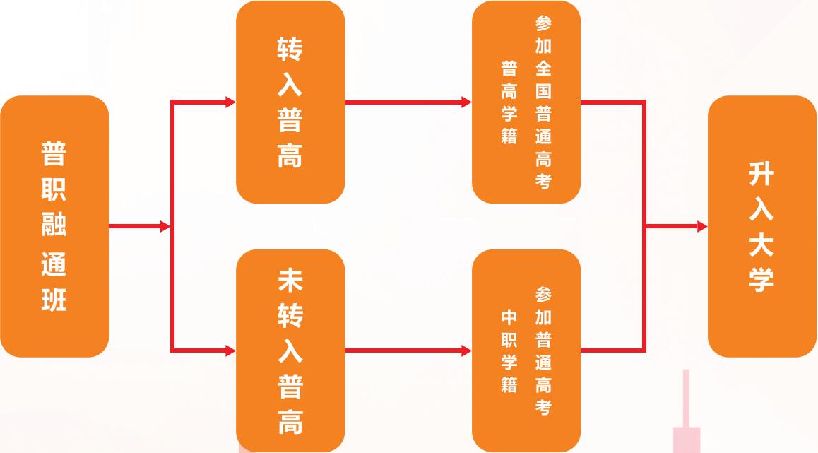 1667985276454799.jpg 3.jpg